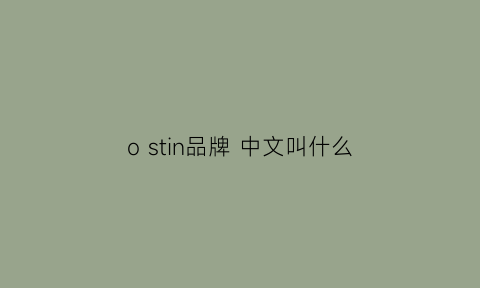 ostin品牌中文叫什么(ostin什么档次)